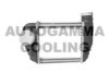 AUTOGAMMA 105719 Intercooler, charger